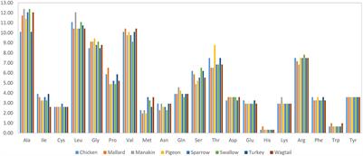 In silico investigation of uncoupling protein function in avian genomes